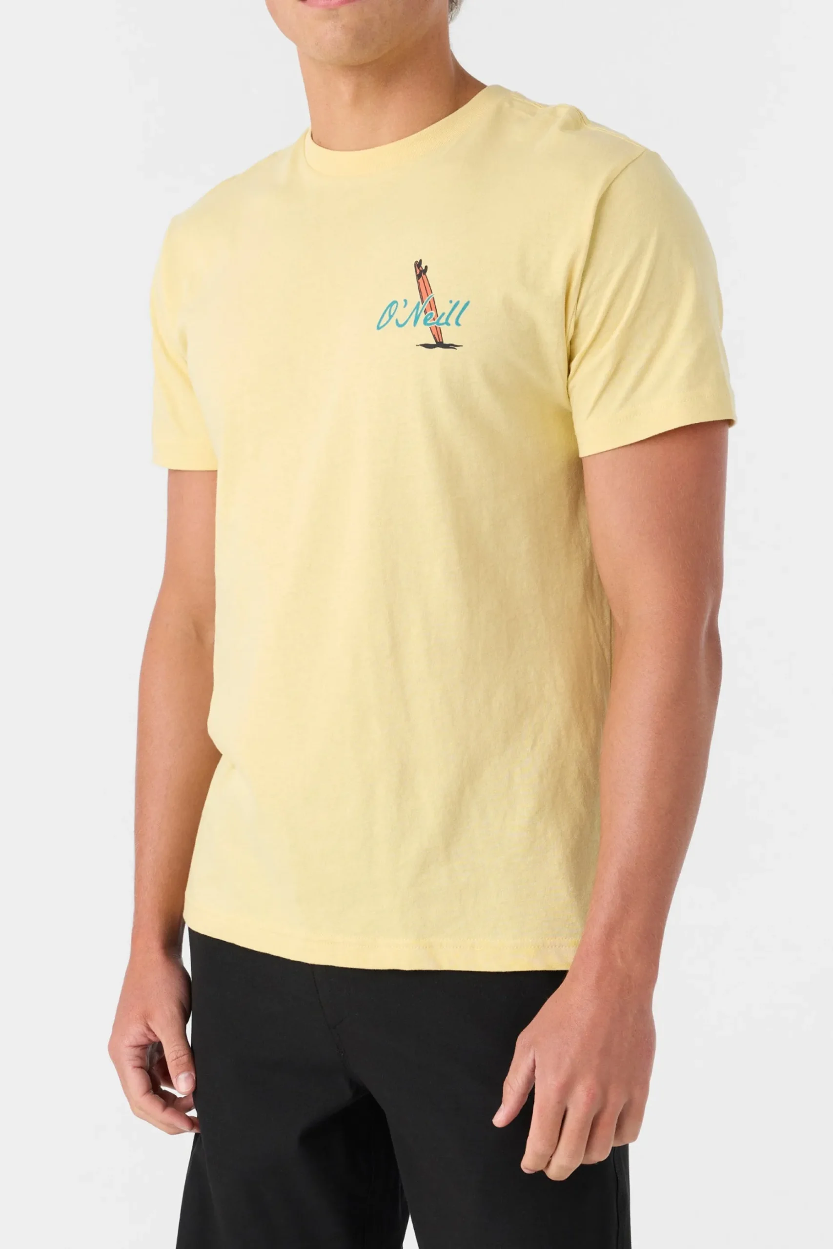 ALWAYS SUMMER STANDARD FIT TEE