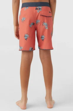 BOY'S HYPERFREAK MYSTO SCALLOP 16
