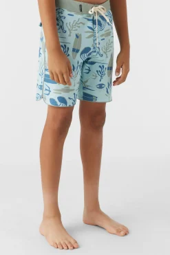 BOY'S HYPERFREAK MYSTO SCALLOP 16