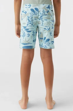 BOY'S HYPERFREAK MYSTO SCALLOP 16