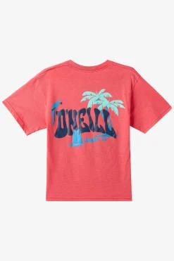 BOY'S LAGGER TEE