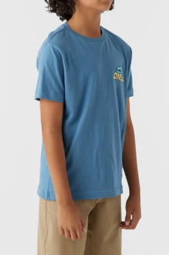 BOY'S LEDGE TEE