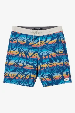 CRUZER 19" BOARDSHORTS