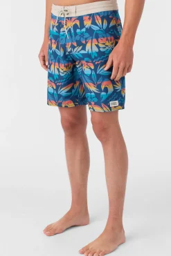 CRUZER 19