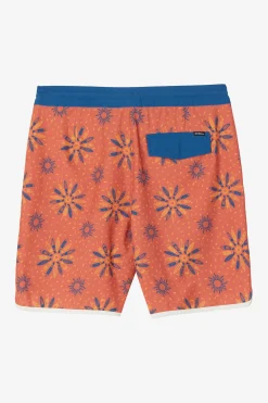 CRUZER SCALLOP 18
