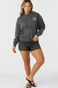 DRIFT HOODED FLEECE PULLOVER