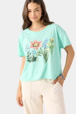 HARMONY TEE