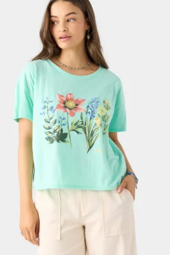 HARMONY TEE