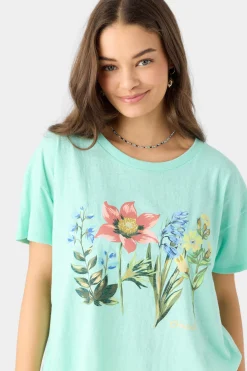 HARMONY TEE