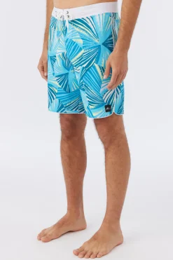 HYPERFREAK MYSTO SCALLOP 19