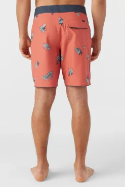 HYPERFREAK MYSTO SCALLOP 19