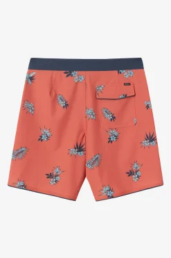 HYPERFREAK MYSTO SCALLOP 19