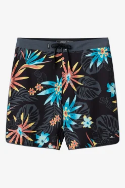 HYPERFREAK MYSTO SCALLOP 19" BOARDSHORTS