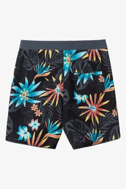 HYPERFREAK MYSTO SCALLOP 19