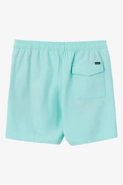 LENNOX HERMOSA SOLID ELASTIC WAIST 17" SWIM TRUNKS