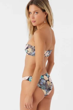 MACAW TROPICAL PLACENCIA BANDEAU TOP