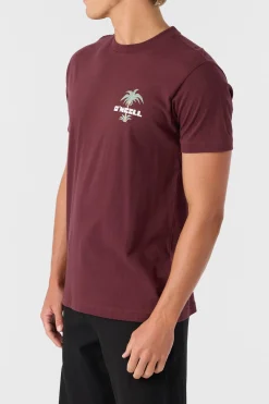 STRAINDS STANDARD FIT TEE